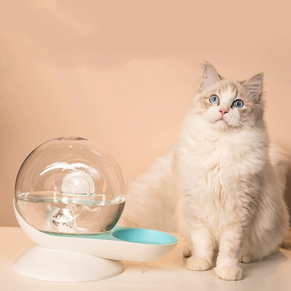 Cat Bubble Water Dispenser Bowl