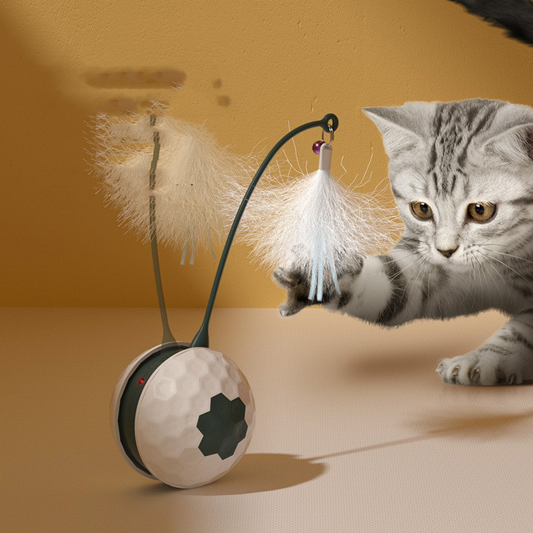 Enjoying Electric Intelligent Bite Resistant Cat Toy