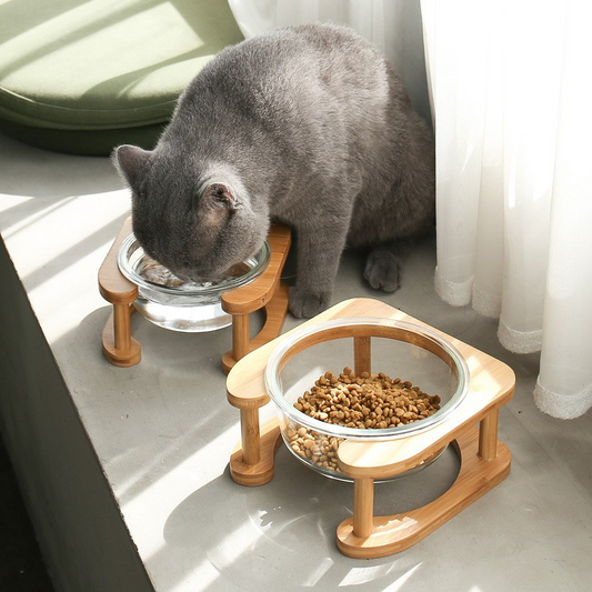 Glass Cat Bowl