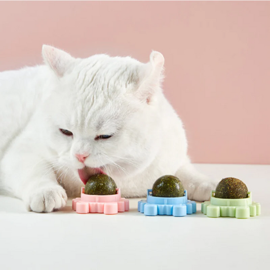 Catnip Balls Rotatable, Edible Kitty Toys for Cats Lick
