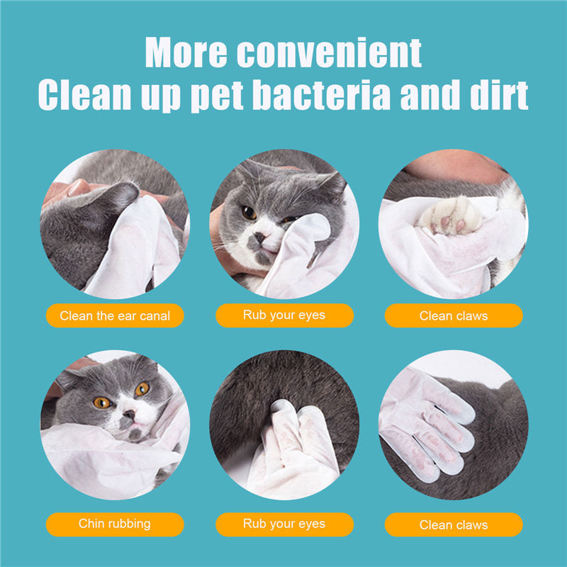 Pet Wash Free Gloves