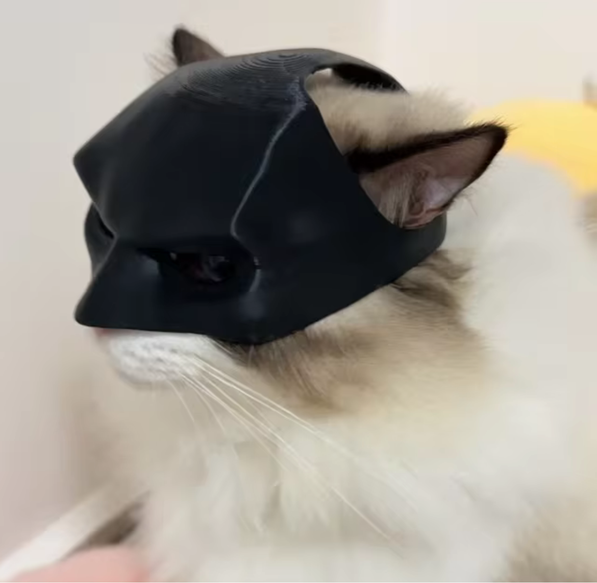 Cat Avenger Mask